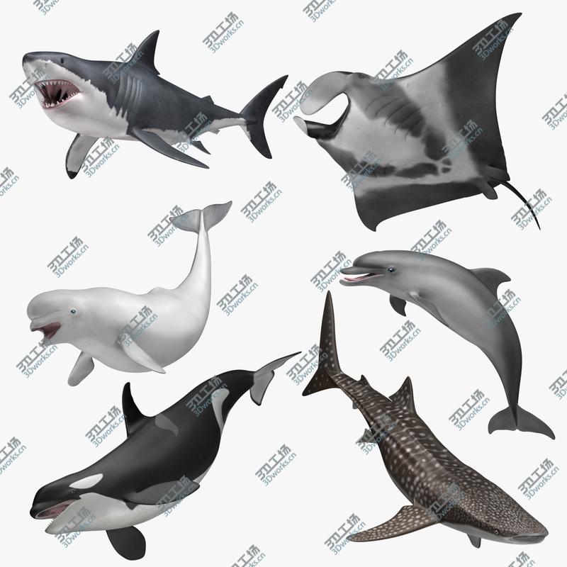 images/goods_img/202104092/Aquatic Animals Collection/1.jpg